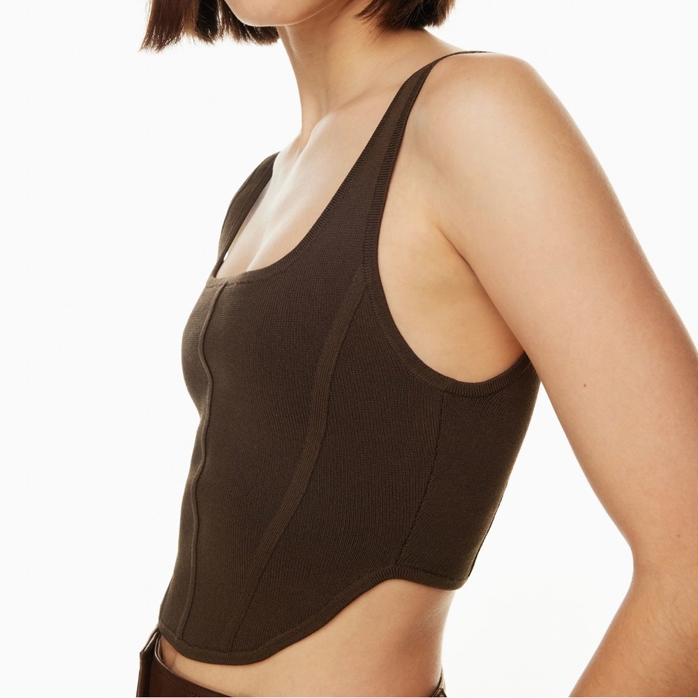 ⭐️3/$30⭐️ (bundle deal) ARITZIA Babaton Sculpt Knit Bustier Top in coffee bean